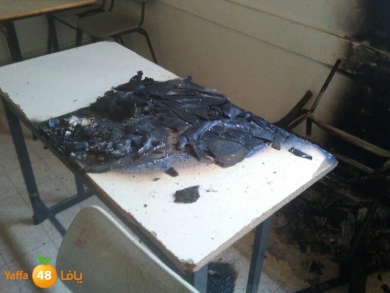 tomashin fire 625 (1).jpg